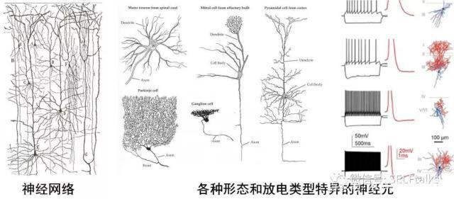 中國腦健康日關注“頭”等大事，中國腦科技的未來是什么？