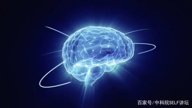 中國腦健康日關注“頭”等大事，中國腦科技的未來是什么？