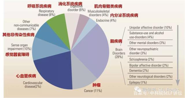 中國腦健康日關注“頭”等大事,中國腦科技的未來是什么?